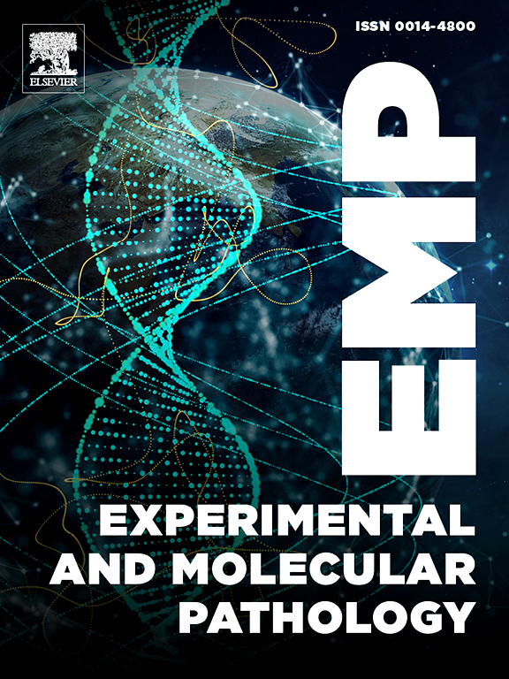 Go to journal home page - Experimental and Molecular Pathology